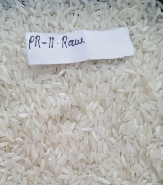 White Organic Pr 11 Raw Rice