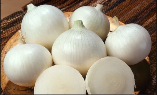 Fresh White Onion, Packaging Type : Customized