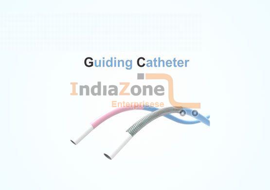 Guiding Catheter