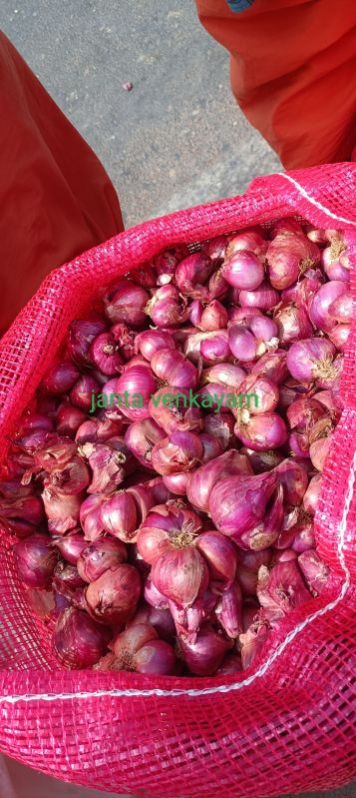 Fresh Small Red Onion