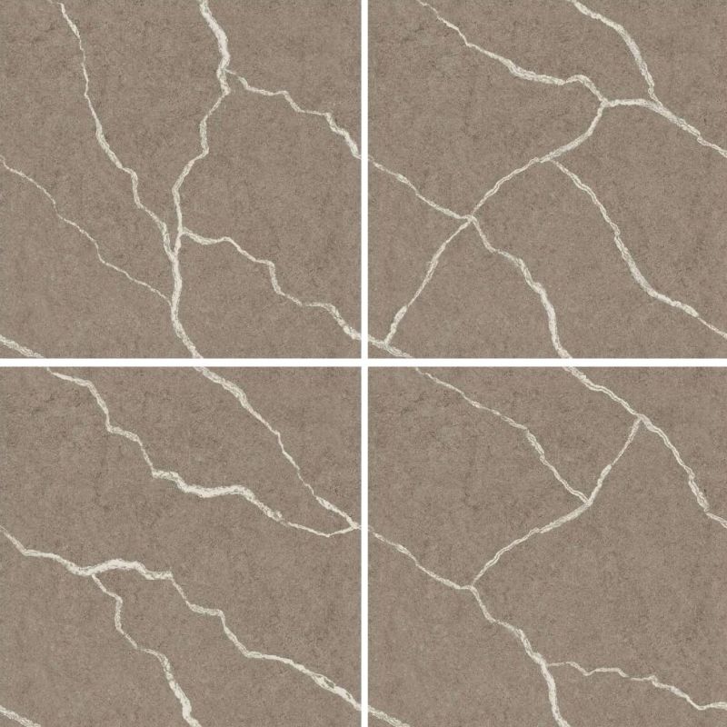 CR-8002 Endless Series Ceramic Floor Tiles