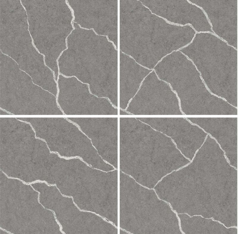 CR-8003 Endless Series Ceramic Floor Tiles