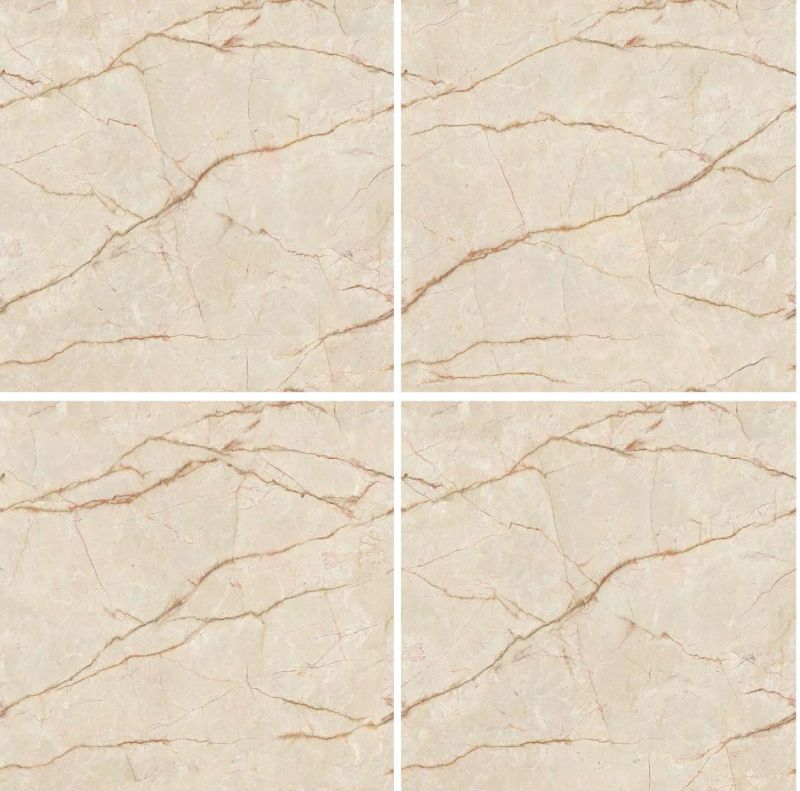 CR-8005 Endless Series Ceramic Floor Tiles