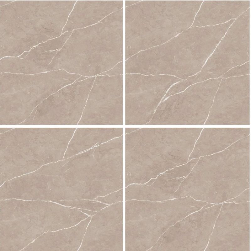 CR-8008 Endless Series Ceramic Floor Tiles