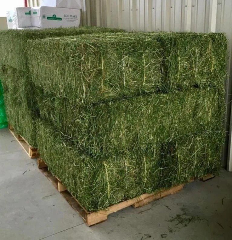 Alfalfa Hay Bales