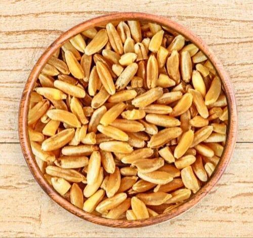 Durum Wheat