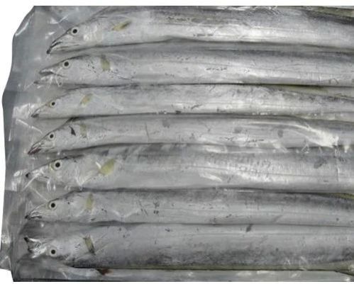 Frozen Ribbon Fish