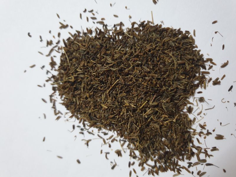 Black Cumin Seeds (Kala Jeera)