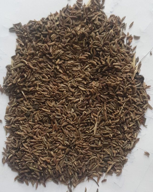 Pahari Saunf Seeds