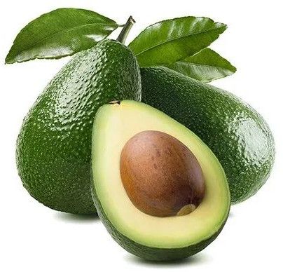 Fresh Avocado