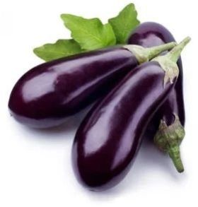 fresh brinjal