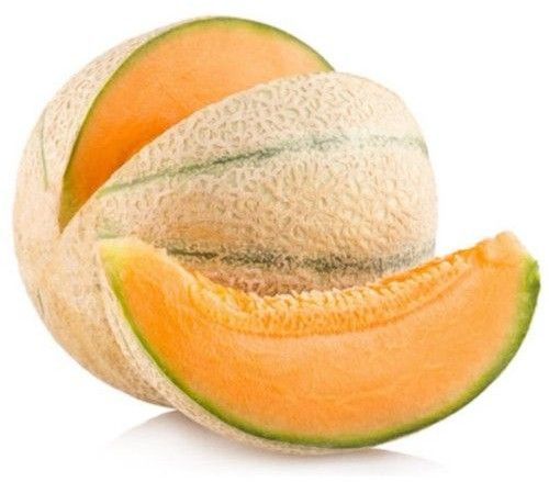 Fresh Muskmelon