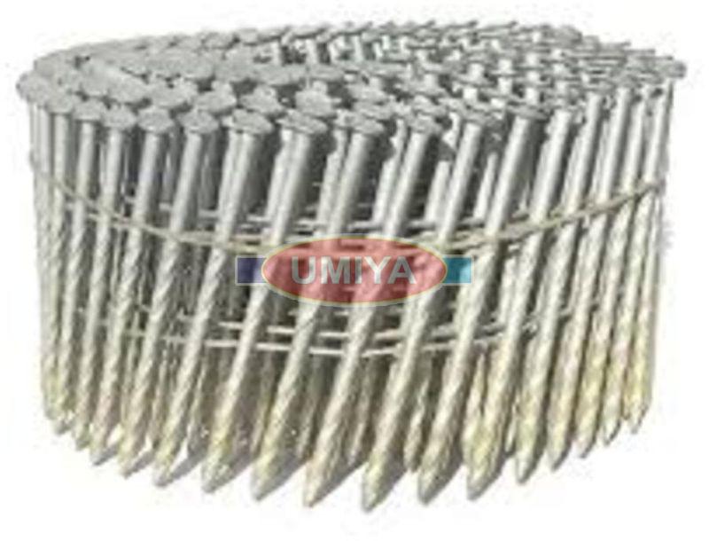 Hot Dipped Galvanized Coil Nails