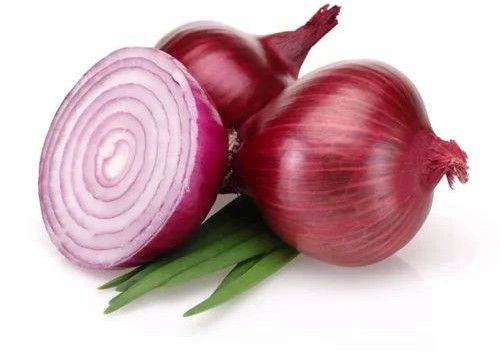 fresh red onion