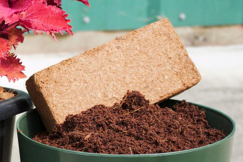 Low Ec Coir Pith Blocks