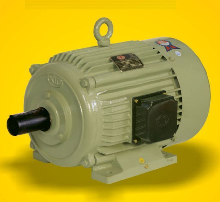 Industrial Electric Motor