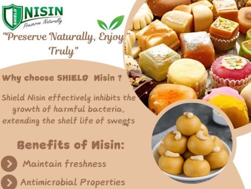 Nisin Bio Preservative