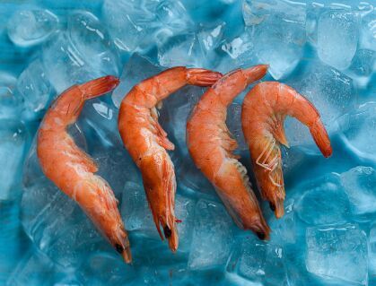 PRAWNS