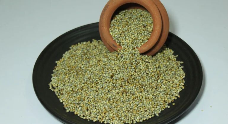 green millet