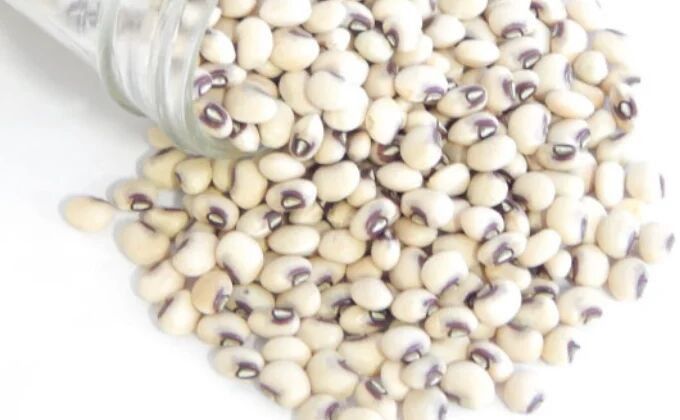 White Cowpea