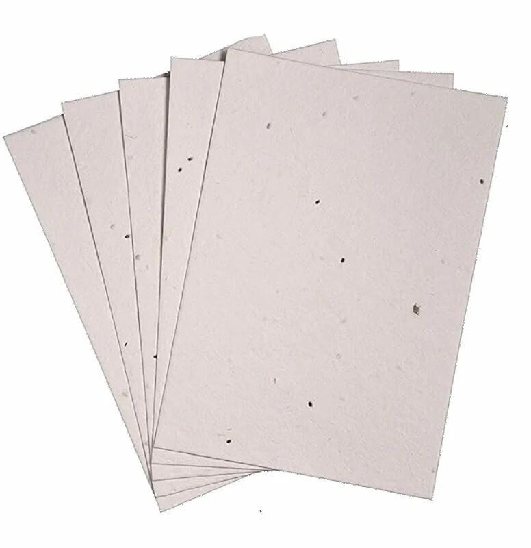 Germination Paper (Sheet)