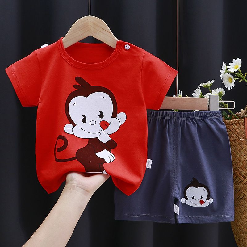 Toddler Baby Boy Printed T Shirt & Shorts Set