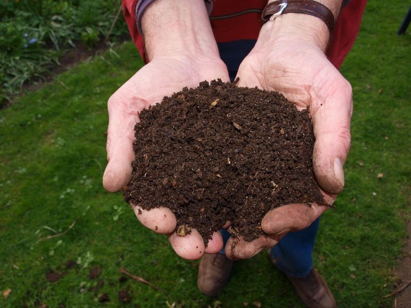 Organic Vermicompost