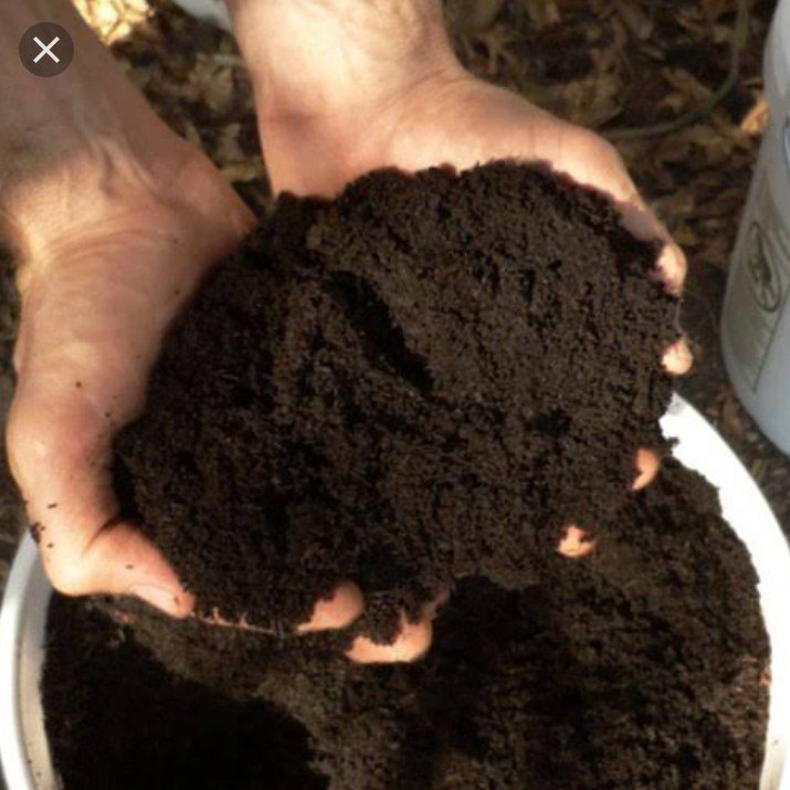 Organic Vermicompost