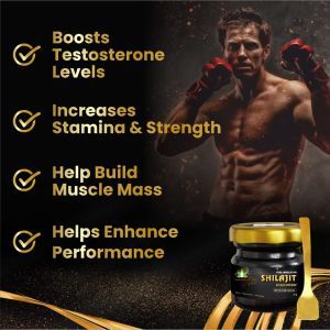 Best Shilajit Supplement For Men