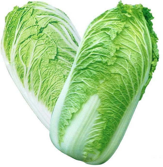 Fresh Chinese Cabbage