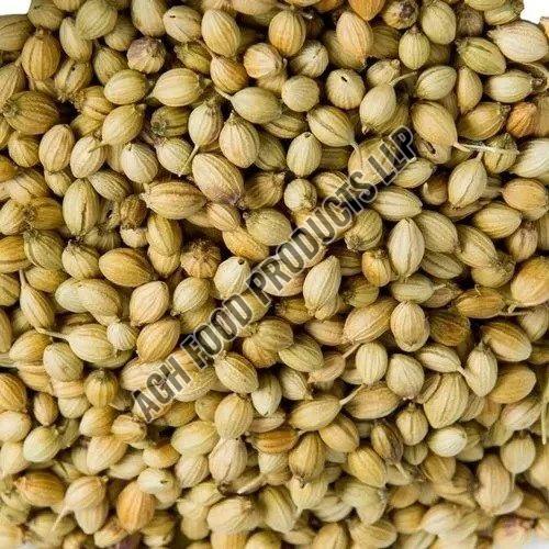 Dry Coriander Seeds