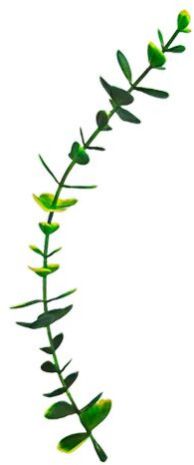 Long Jhalar Big Leaf Dark Green Yellow - Artificial Plastic Plant Fillers