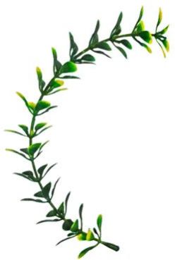 Long Jhalar Gol Patti Dark Green Yellow - Artificial Plastic Plant Fillers