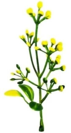 N Moti Dark Green Yellow - Artificial Plastic Plant Fillers