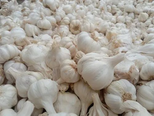 A Grade White Garlic