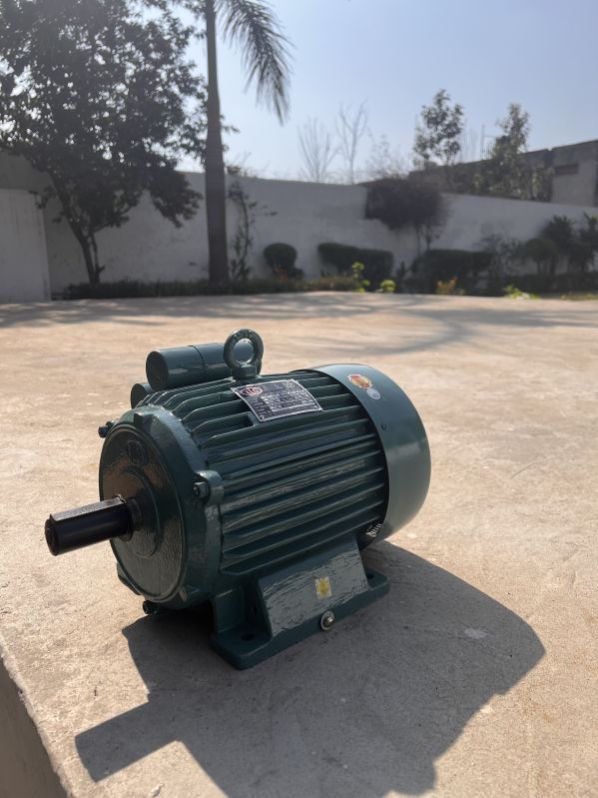 Industrial Electric Motor