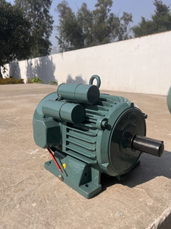 Industrial Electric Motor