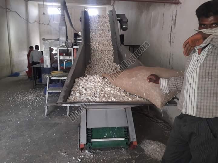 Garlic Grading Machine