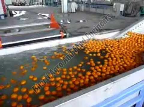 Orange Sorting Grading Machine