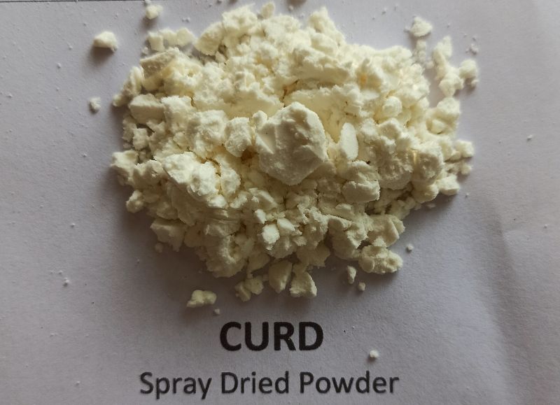 Curd Powder