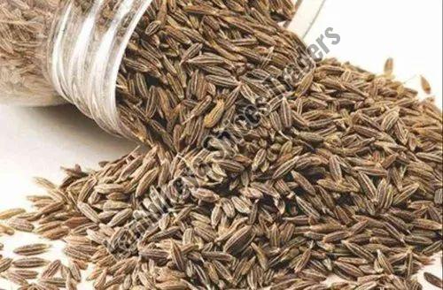 cumin seed