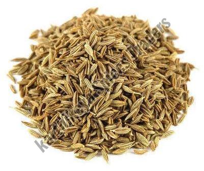 cumin seeds