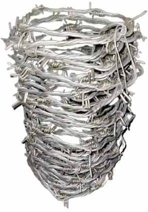 Barbed Wire Fencing