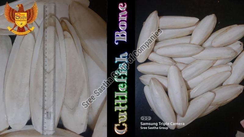 Dried Cuttlefish Bone