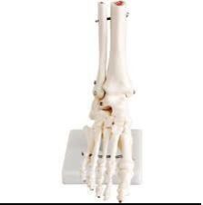 Foot Joint
