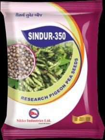 sindur-350 Tur Seeds