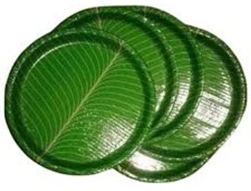 Plain Disposable Green Paper Plate