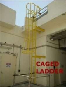 Caged Ladder