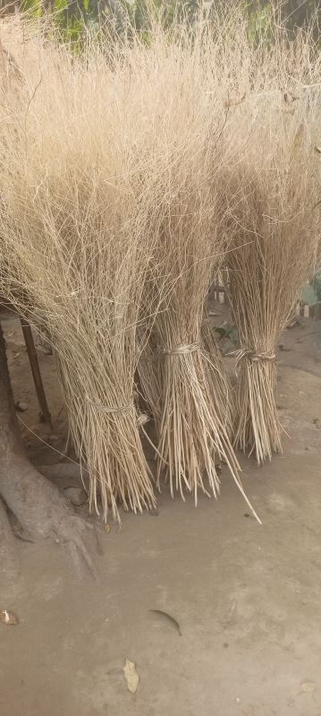 Real Dried Willow Branch