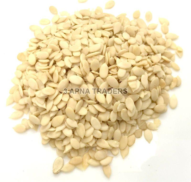 Magaj Seeds